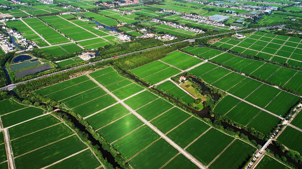 一线蹲点·太仓的生态环境越来越好，秘诀在这里