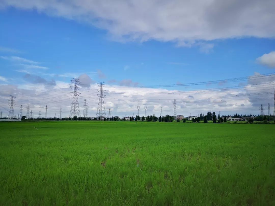 一线蹲点·太仓的生态环境越来越好，秘诀在这里