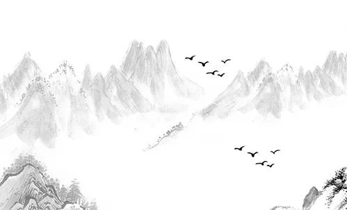 pipeline治动脉瘤,密网支架治疗动脉瘤原理