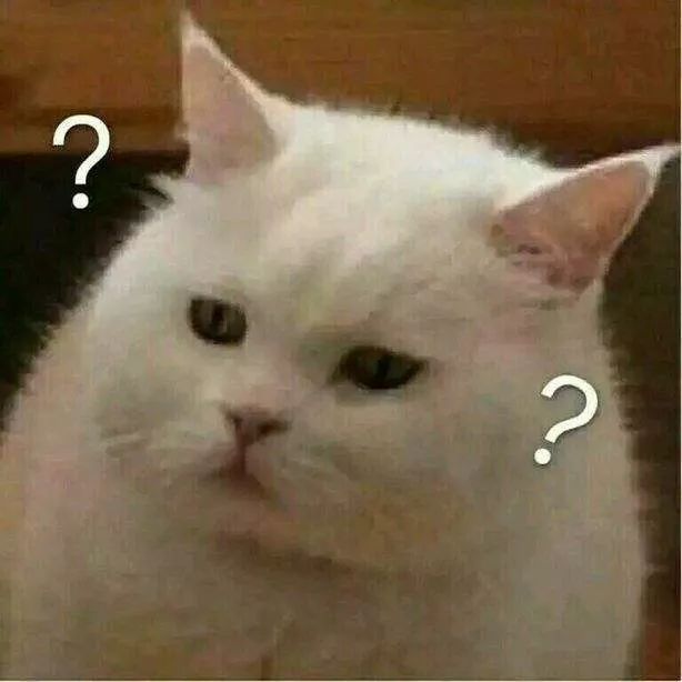 推特、脸书删近千内地涉港账号!外交部回应了……