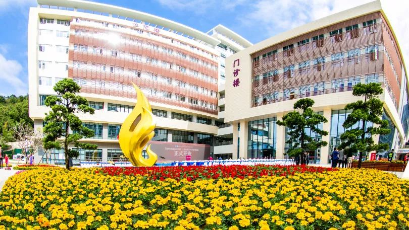 罗湖公立医院改革方案,深圳市罗湖中医院是三甲医院吗