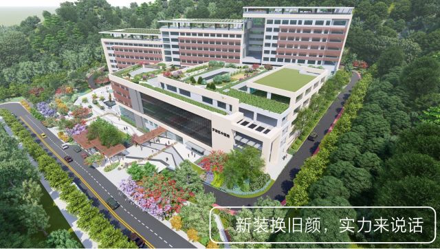 罗湖公立医院改革方案,深圳市罗湖中医院是三甲医院吗