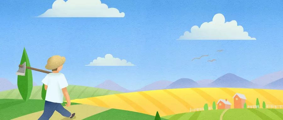 从“村小二”到电子商务师