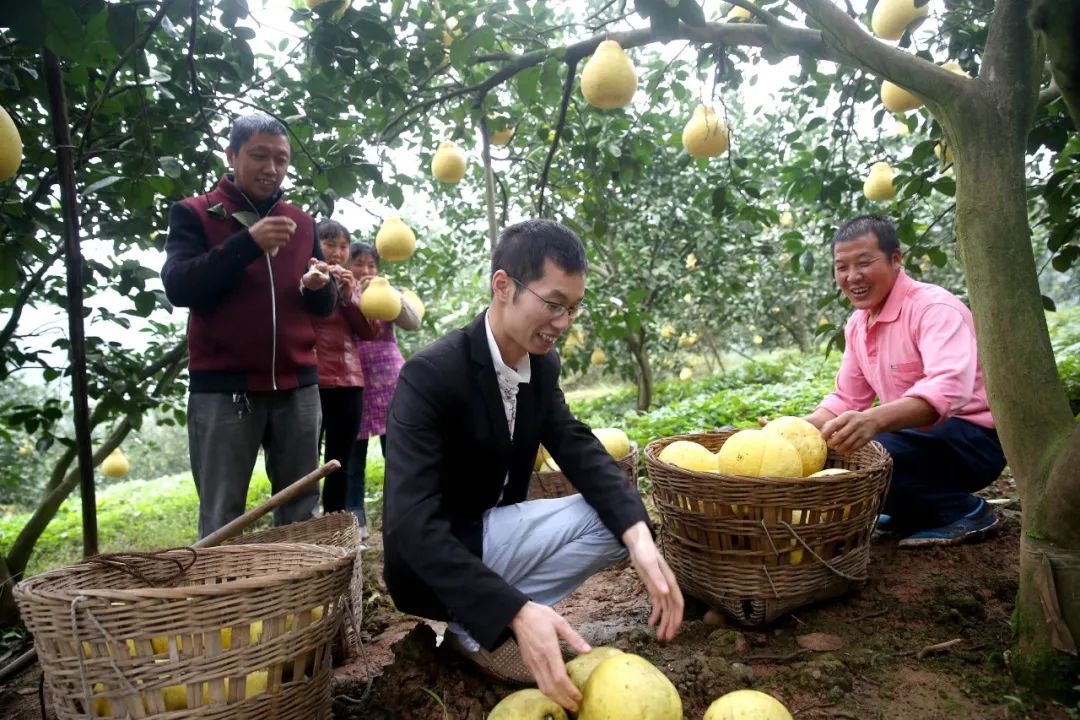 乡镇巩固脱贫成果助力乡村振兴,基层脱贫攻坚工作亮点