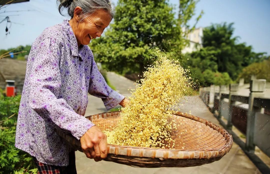 乡镇巩固脱贫成果助力乡村振兴,基层脱贫攻坚工作亮点