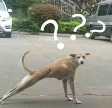 江西景区最新消息,江西十大坑人景区