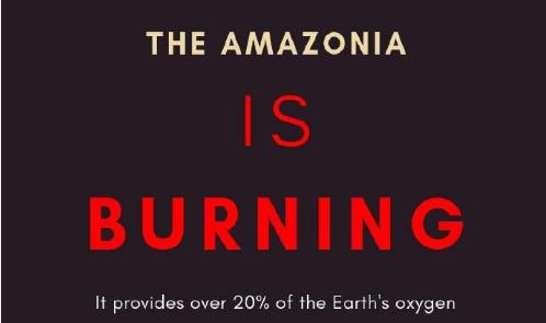 亚马孙火灾对空气造成了哪些影响,2019年亚马逊热带雨林大火