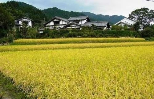 新马泰旅游需要多少人民币,去新马泰在哪兑换货币划算