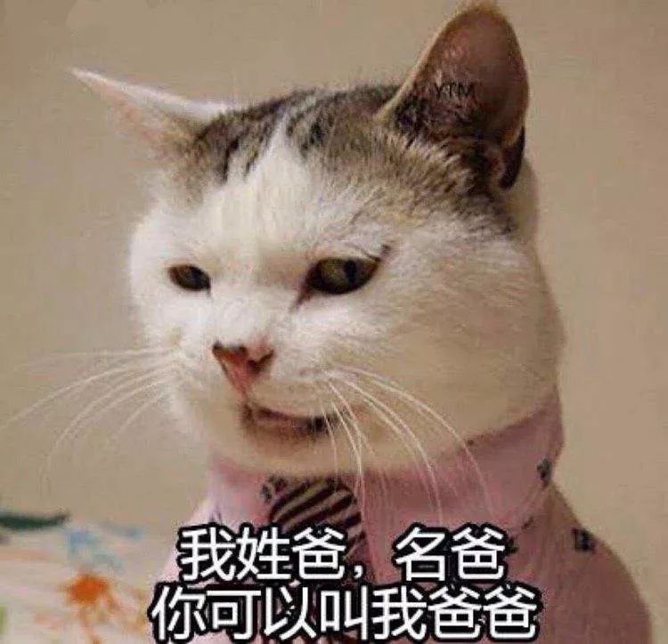 剪刀找猫法一般要多久,剪刀法找猫具体步骤