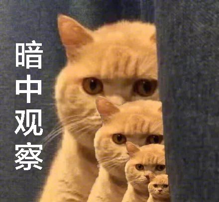 剪刀找猫法一般要多久,剪刀法找猫具体步骤