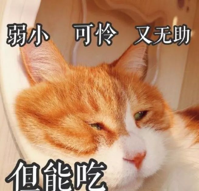 剪刀找猫法一般要多久,剪刀法找猫具体步骤