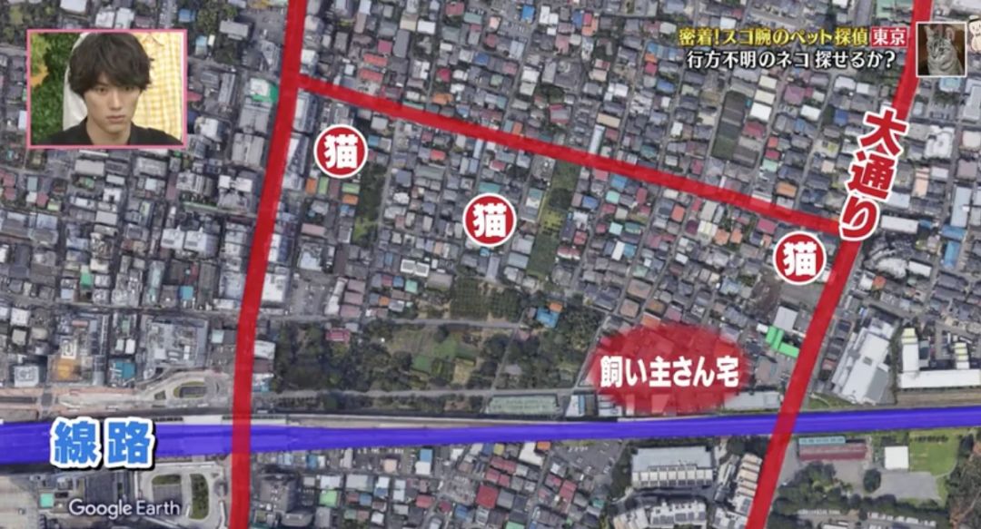 剪刀找猫法一般要多久,剪刀法找猫具体步骤