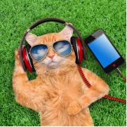 如何疏导抑郁症的人的心理,6个技巧让你摆脱抑郁情绪的烦恼