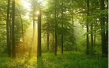 如何疏导抑郁症的人的心理,6个技巧让你摆脱抑郁情绪的烦恼