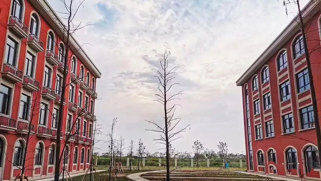 金山学校建设,金山新建学校