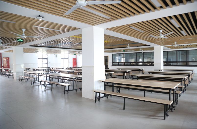 金山学校建设,金山新建学校