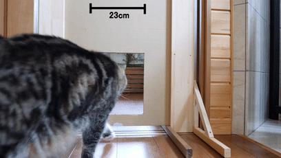 萌翻了！网友亲测猫趴在地上可以有多扁！原来猫的真实形态是液体的…