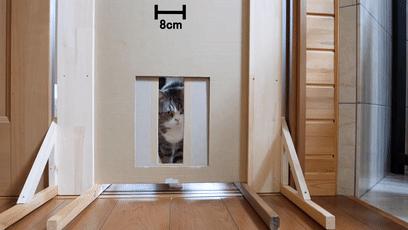 萌翻了！网友亲测猫趴在地上可以有多扁！原来猫的真实形态是液体的…