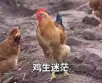 鸡的什么部位不能吃？它到底有多毒，很多人还不知道