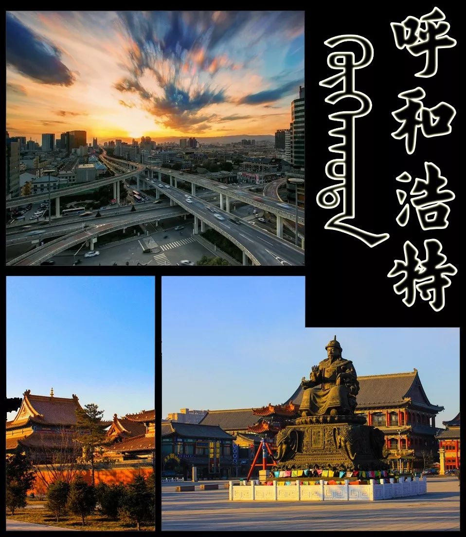 青城实时公交查询,青城公交实时信息