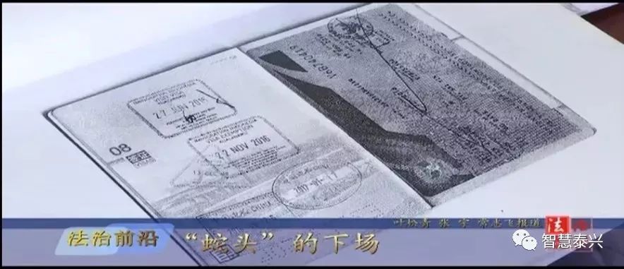 泰兴市杀人案判决结果,泰兴判刑名单