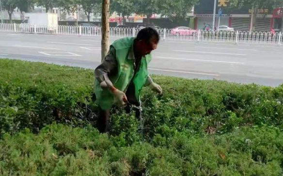 奎文美丽的地方,潍坊奎文风景好的地方