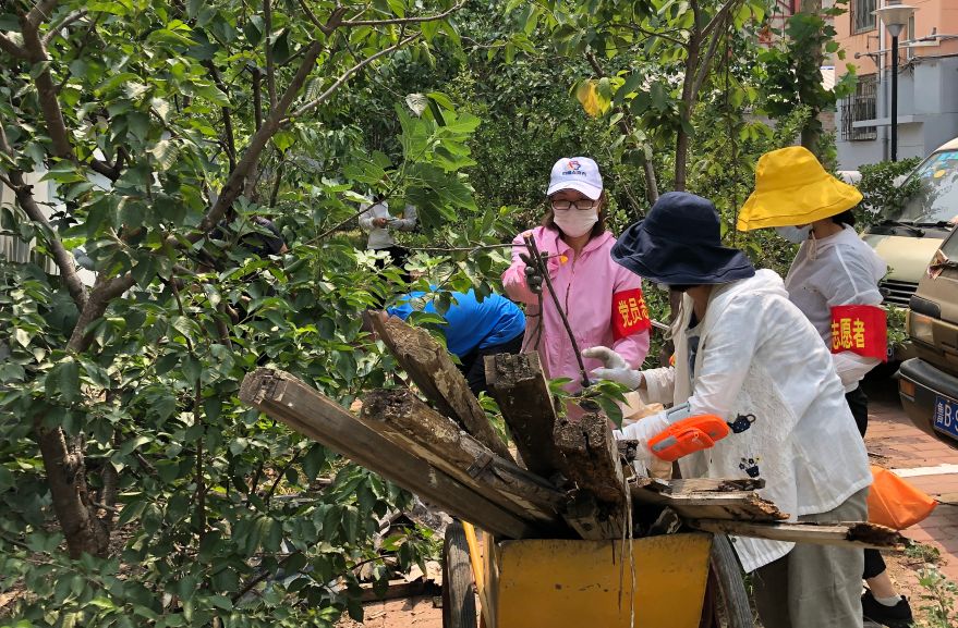 奎文美丽的地方,潍坊奎文风景好的地方