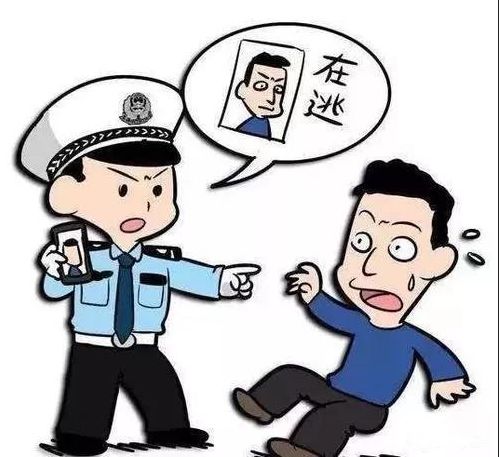 云剑追逃行动追回在逃人员67人,夏季行动大悟公安抓获一名逃犯