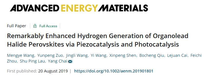 香港理工AEM:钙钛矿压电光催化产氢