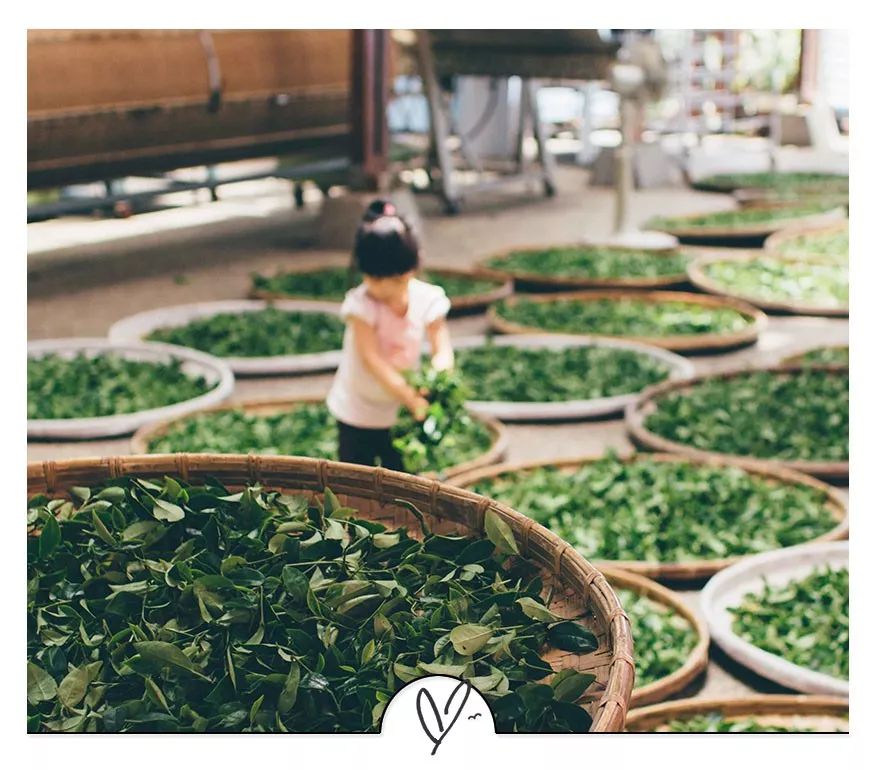 东野圭吾最精辟的句子,东野圭吾精辟到骨子里