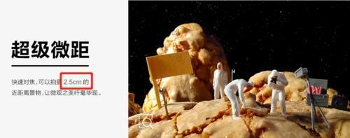 5个有关微距镜头的常见误解,最好的微距镜头推荐