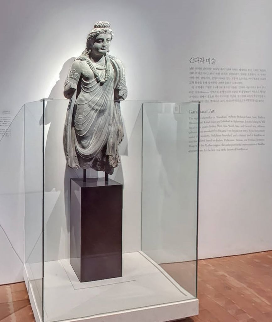 姹夌繑娓稿,姹夌繑鐮斿娲诲姩