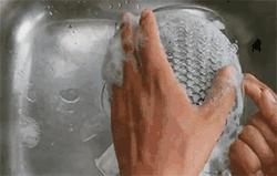 钢丝球上的细菌,钢丝球容易滋生细菌