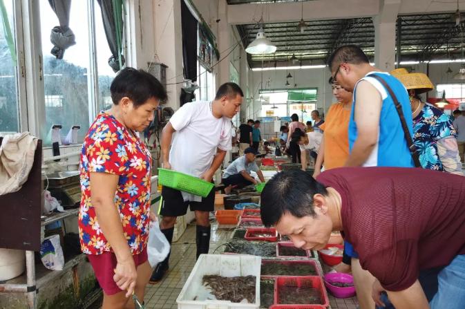 海鲜市场10元一只生蚝,海鲜生蚝一元一个