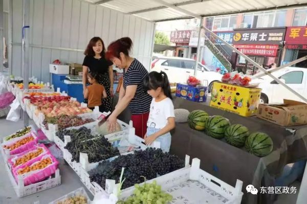 建设美好城市感想,建设更高水平文明城市观后感