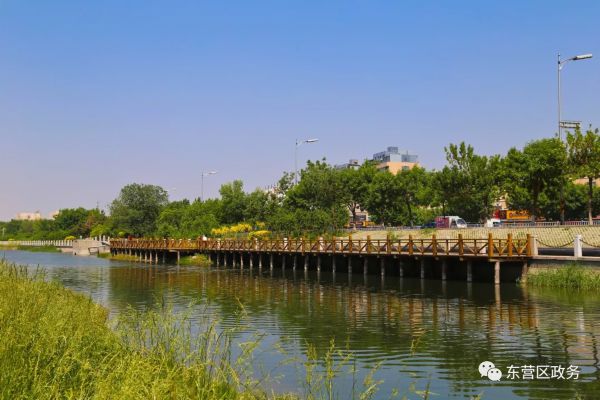 建设美好城市感想,建设更高水平文明城市观后感