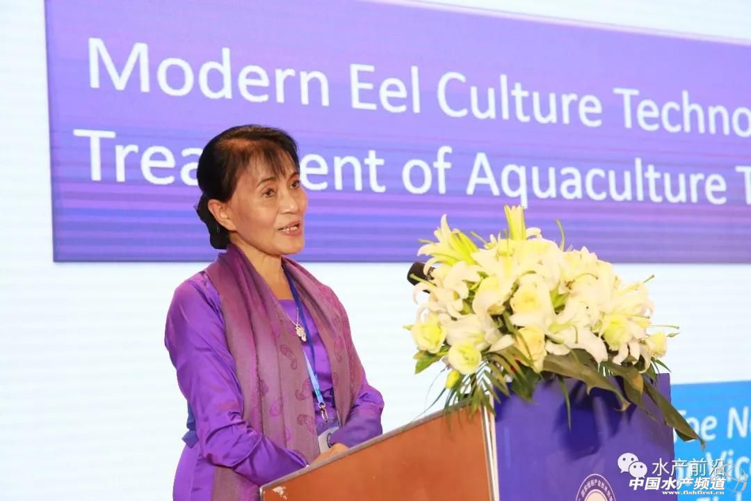 鳗鲡养殖基地,养殖塘鲺鱼一万尾要多少成本