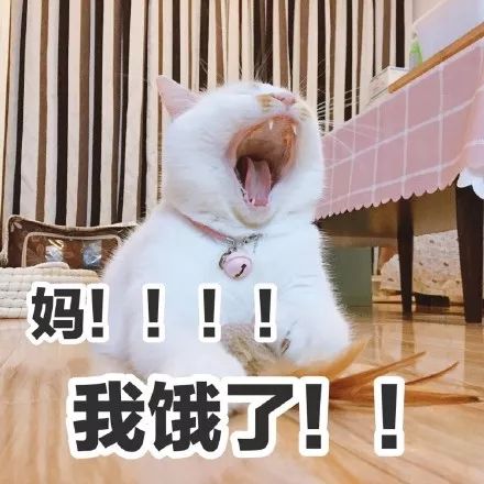 各种生猛海鲜安排,南宁海鲜今日价格表