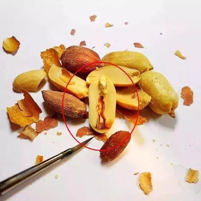 迷你小油画风景,小乾坤迷你世界