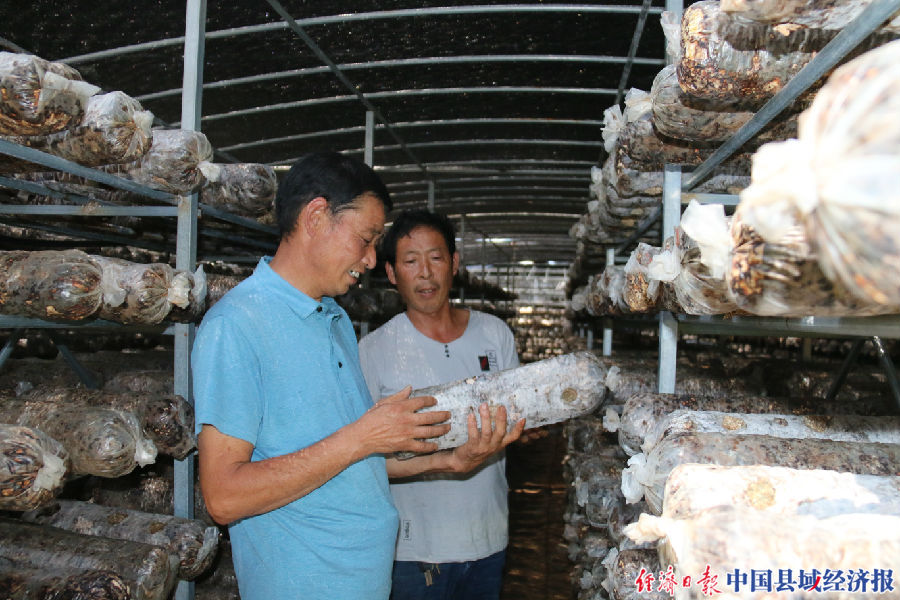 王广辽:带领群众甩“穷帽”