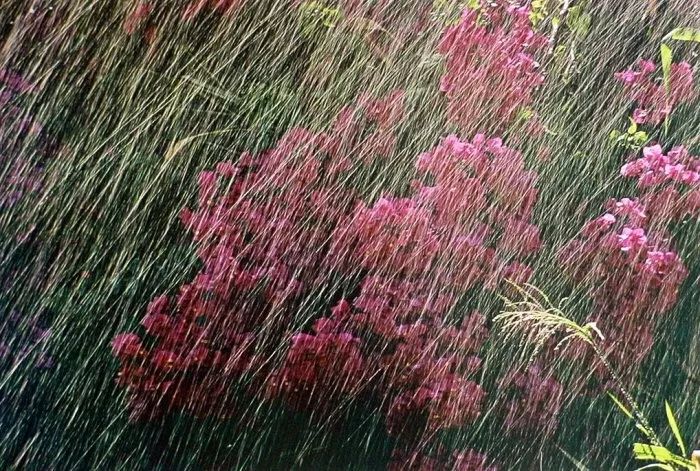 有彩色和无彩色摄影,彩色摄影有什么用