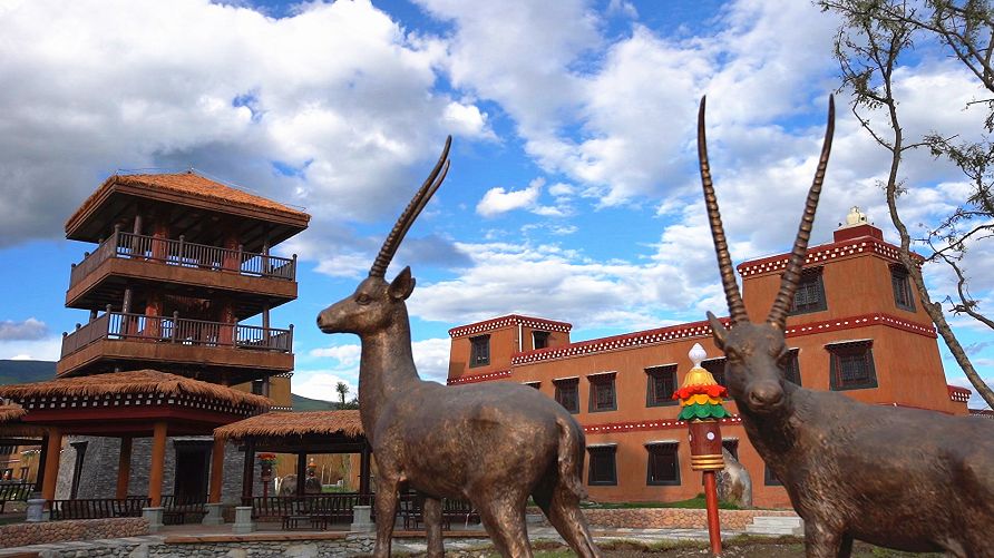 全县群众，政务服务中心搬家啦，这些新变化你要知道