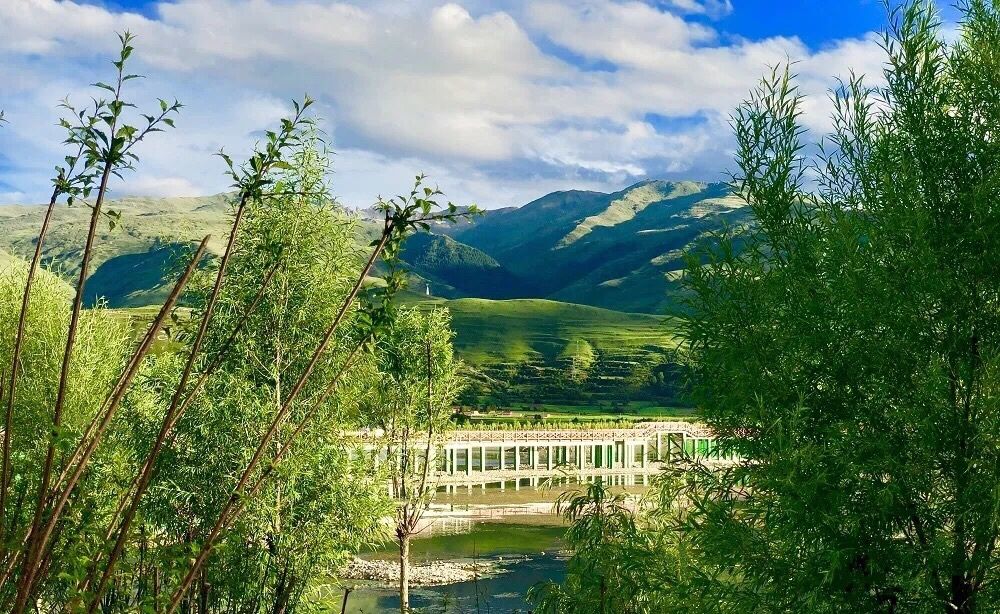 全县群众，政务服务中心搬家啦，这些新变化你要知道