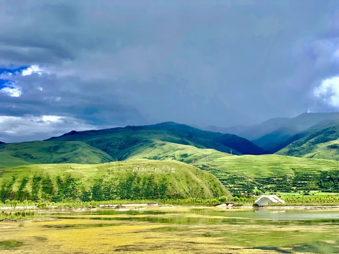 全县群众，政务服务中心搬家啦，这些新变化你要知道