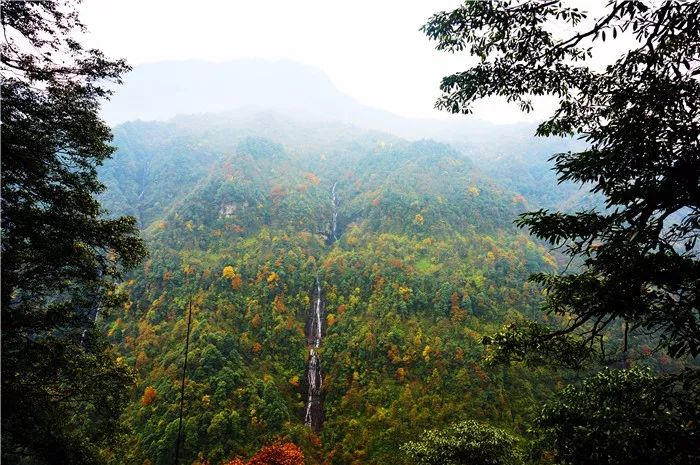 成贵高铁模拟线路图,成贵高铁通到哪里了