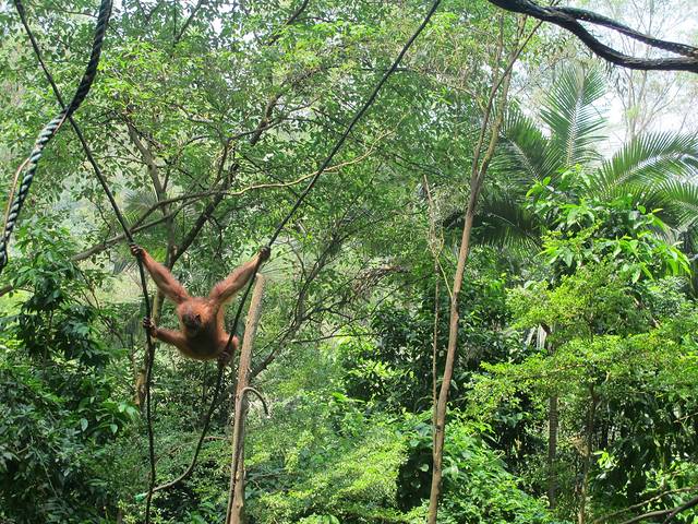 广东长隆亲子游推荐4-5天游,北京到广州长隆攻略亲子游三天