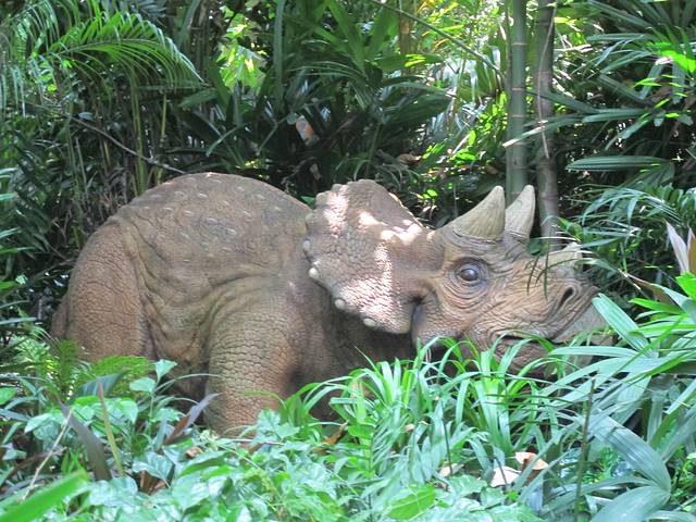 广东长隆亲子游推荐4-5天游,北京到广州长隆攻略亲子游三天