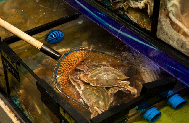 搬来个舟山「海鲜市场」！佛手、胭脂、大米鱼…你爱吃的海鲜从挑到做全get