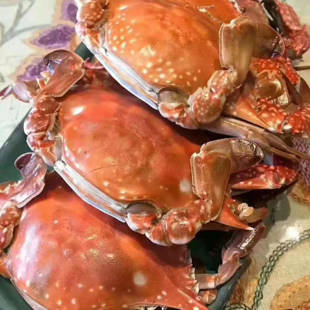 搬来个舟山「海鲜市场」！佛手、胭脂、大米鱼…你爱吃的海鲜从挑到做全get