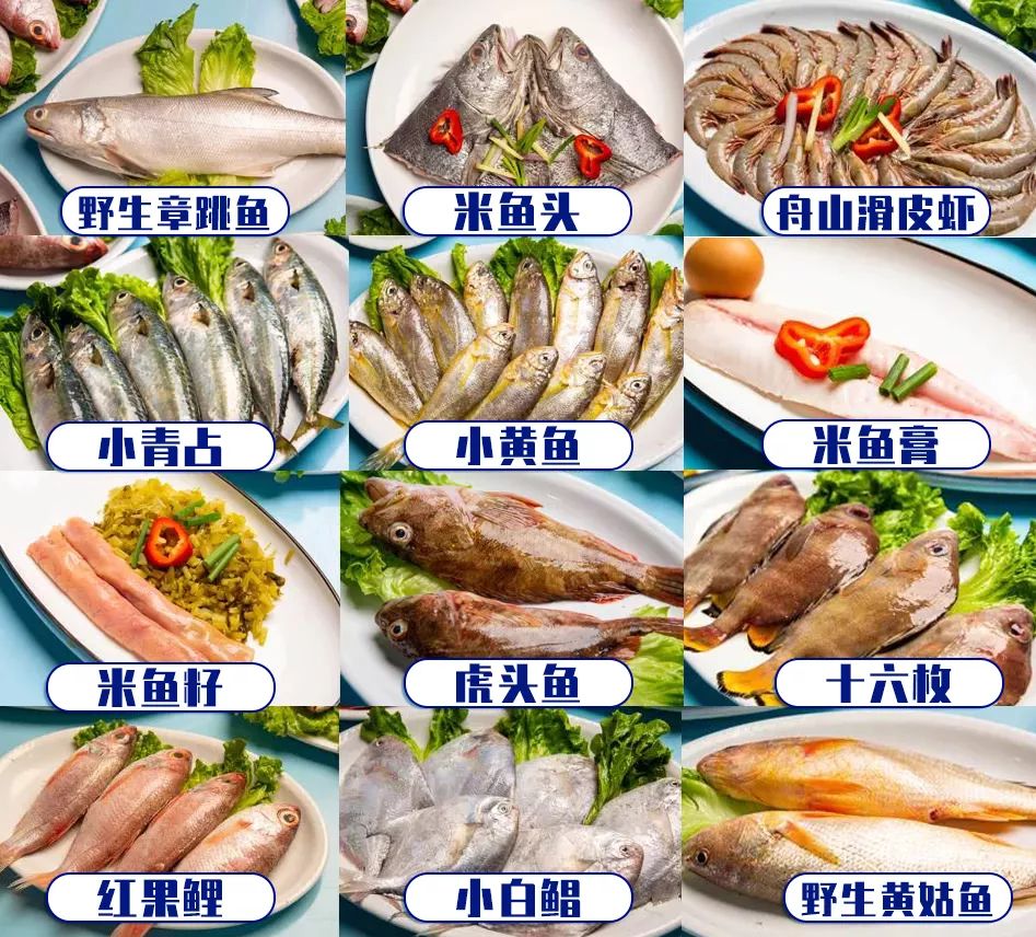 搬来个舟山「海鲜市场」！佛手、胭脂、大米鱼…你爱吃的海鲜从挑到做全get